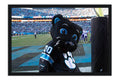 Poster Carolina Panthers - Futebol Americano - NFL