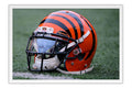 Poster Cincinnati Benga - Futebol Americano - NFL
