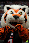 Poster Cincinnati Benga - Futebol Americano - NFL
