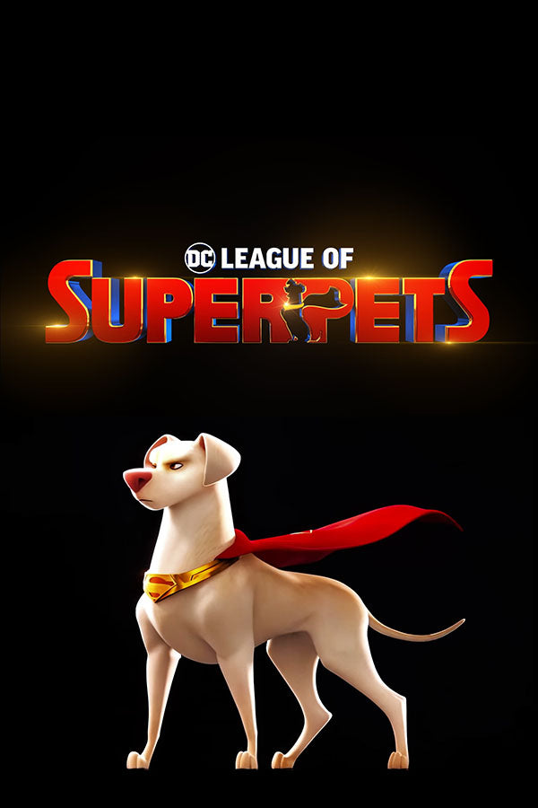 Poster DC Liga dos Super Pets - Infantil