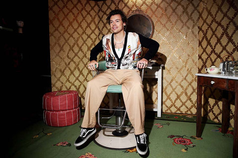 Poster Harry Styles - Ator - Música - Artistas Pop