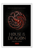 Poster House Of The Dragon - Séries