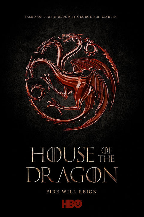 Poster House Of The Dragon - Séries