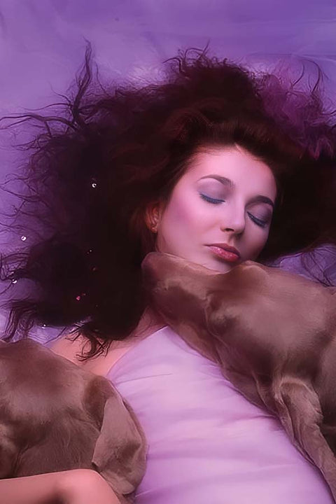 Poster Kate Bush - Artistas Pop