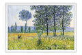 Poster Monet - Woman with a Parasol on the Woods - Obras de Arte