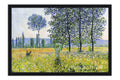 Poster Monet - Woman with a Parasol on the Woods - Obras de Arte