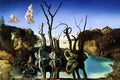 Poster Salvador Dali - Swans Reflecting Elephants - Obras de Arte