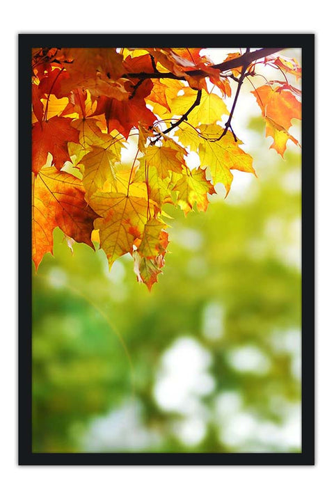 Poster Folhas Secas - Paisagens
