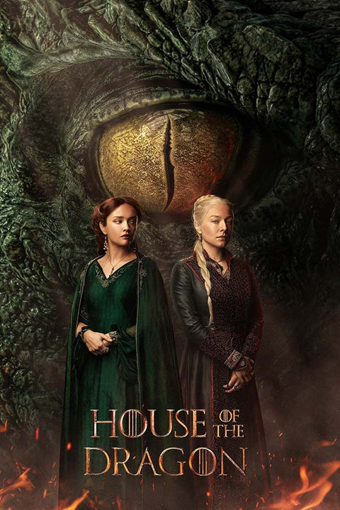 Poster House Of The Dragon - Casa do Dragão - Séries