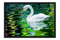 Poster Cisne - Pássaros - Passarinhos - Aves - Animais