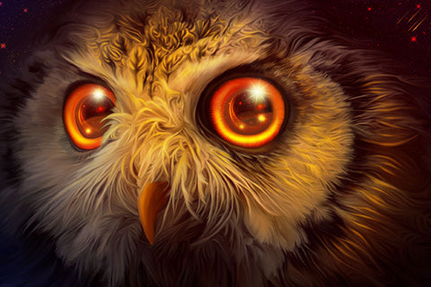 Poster Coruja - Pássaros - Passarinhos - Aves - Animais