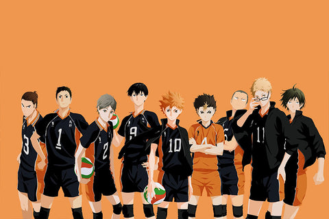 Poster Haikyuu!! - Animes