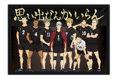 Poster Haikyuu!! - Animes