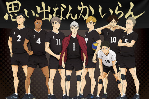 Poster Haikyuu!! - Animes
