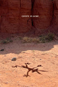 Poster Coiote vs. Acme - Coyote vs. Acme - Comédia - Animação - Filmes - Pôster sem moldura