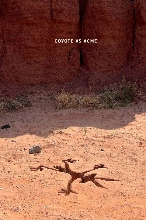 Poster Coiote vs. Acme - Coyote vs. Acme - Comédia - Animação - Filmes - Pôster sem moldura