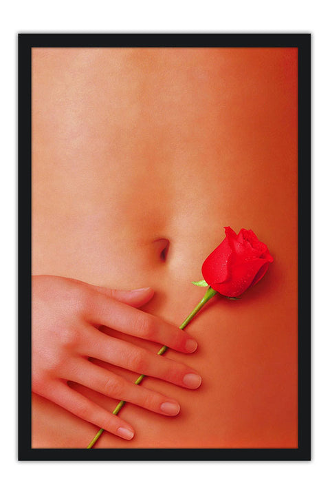 Poster Beleza Americana - American Beauty - Filmes