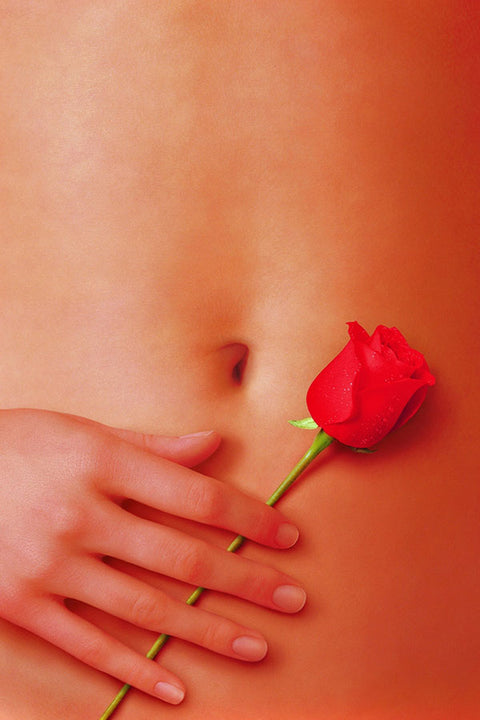 Poster Beleza Americana - American Beauty - Filmes