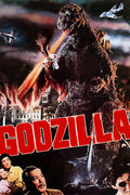 Poster Godzilla Kaiju - Filmes - Pôster sem moldura