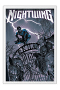 Poster Nightwing Dick Grayson DC Comics - Quadrinhos - Moldura branca