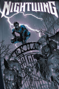 Poster Nightwing Dick Grayson DC Comics - Quadrinhos - Pôster sem moldura