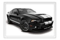 Poster Ford Mustang Gt500 Shelby Jellybean - Carros