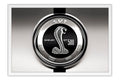Poster Ford Shelby Cobra - Carros