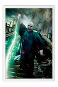 Poster Voldemort- Harry Potter 7 and the Deathly Hallows – Part 1 - Filmes