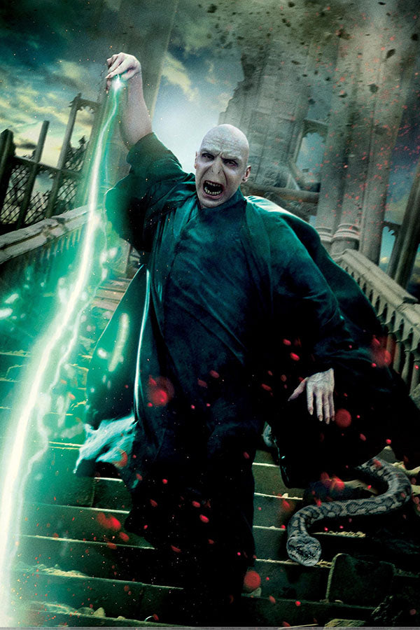 Poster Voldemort- Harry Potter 7 and the Deathly Hallows – Part 1 - Filmes