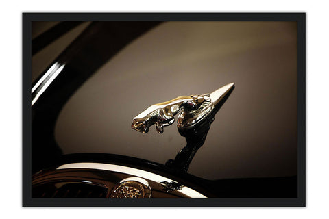Poster Jaguar - Carros