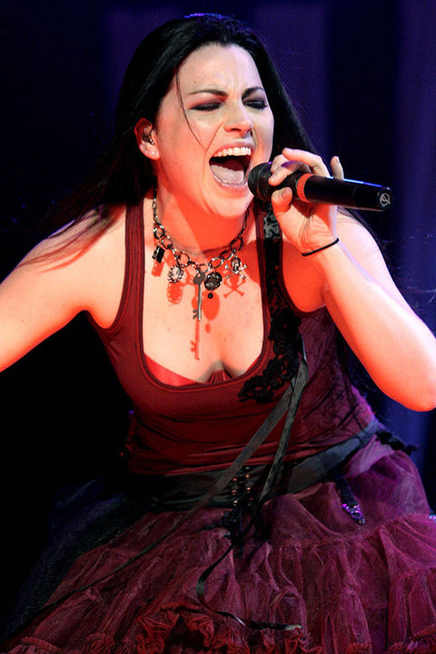 Poster Evanescence - Amy Lee - Bandas de Rock