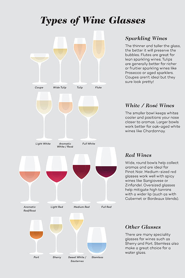 Poster Tipos de Taças de Vinho - Types of Wine Glasses - Frases - Informativo - Utilidades - Etiqueta