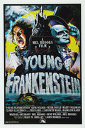 Poster O Jovem Frankenstein Young Frankenstein - Clássico - Cult - Filmes - Pôster sem moldura