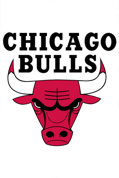 Poster Chicago Bulls - Basquete - Nba