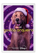 Poster Gavião Arqueiro - Avengers - Vingadores - Séries