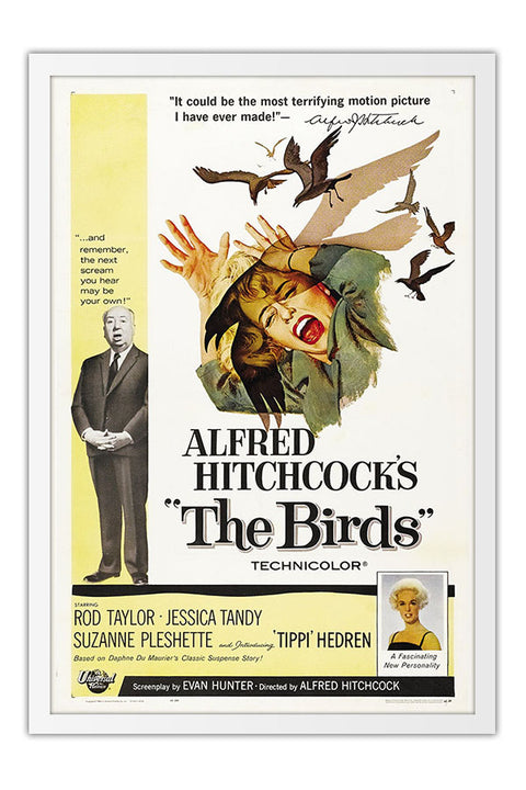 Poster Os Passaros the Birds Alfred Hitchcock - Clássico - Cult - Filmes - Moldura branca