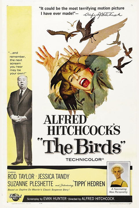 Poster Os Passaros the Birds Alfred Hitchcock - Clássico - Cult - Filmes - Pôster sem moldura
