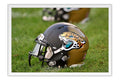 Poster Jaguars - Futebol Americano - NFL