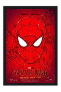 Poster Homem-Aranha: Um Novo Dia - Spider-Man: Brand New Day - Filmes - Moldura preta