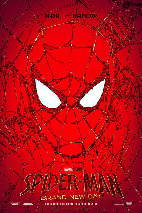 Poster Homem-Aranha: Um Novo Dia - Spider-Man: Brand New Day - Filmes - Pôster sem moldura