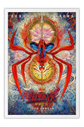 Poster Homem-Aranha: Um Novo Dia - Spider-Man: Brand New Day - Filmes - Moldura branca