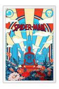 Poster Homem-Aranha: Um Novo Dia - Spider-Man: Brand New Day - Filmes - Moldura branca