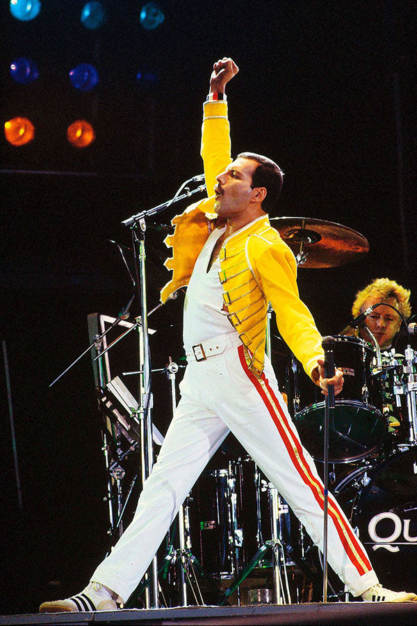 Poster Freddie Mercury Queen - Bandas de Rock - Pôster sem moldura