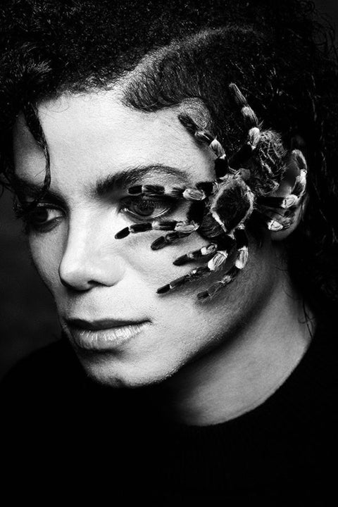 Poster Michael Jackson - Pop