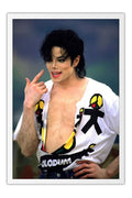 Poster Michael Jackson - Pop