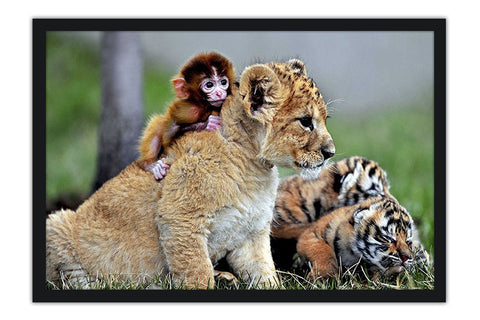Poster Decorativo Tigre E Macaco Filhotes - Animais – Natureza