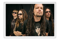 Poster Korn - Bandas de Rock
