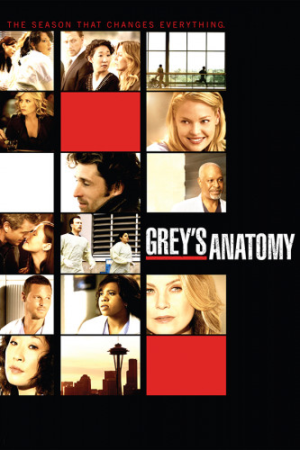 Poster Greys Anatomy 6° Temporada