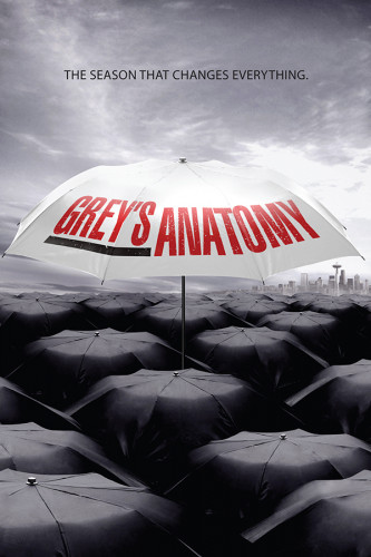 Poster Greys Anatomy 6° Temporada