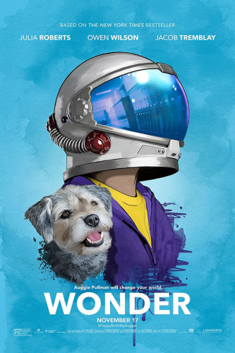 Poster Wonder Extraordinario